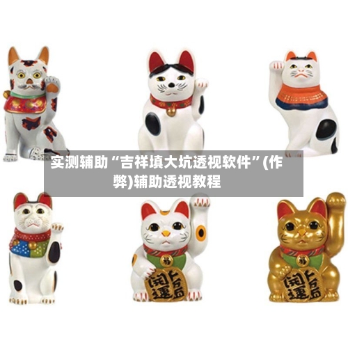 实测辅助“吉祥填大坑透视软件”(作弊)辅助透视教程-第3张图片