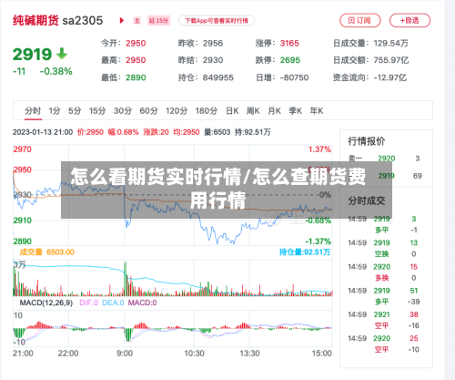 怎么看期货实时行情/怎么查期货费用行情