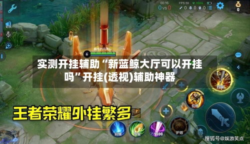 实测开挂辅助“新蓝鲸大厅可以开挂吗”开挂(透视)辅助神器-第3张图片