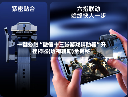 一键必胜“微信十三张游戏辅助器	”开挂神器{透视辅助}全揭秘-第3张图片