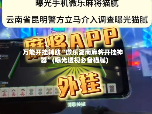 万能开挂辅助“微乐湖南麻将开挂神器”(曝光透视必备猫腻)-第2张图片