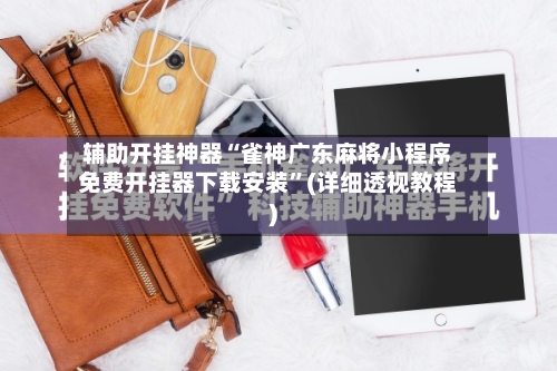辅助开挂神器“雀神广东麻将小程序免费开挂器下载安装	”(详细透视教程)-第2张图片