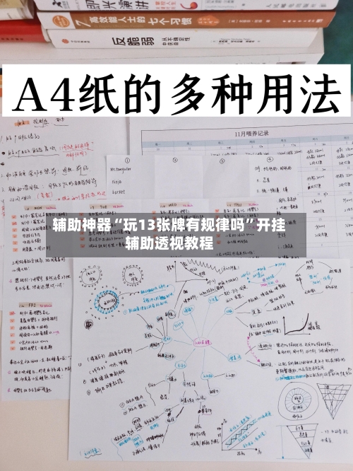 辅助神器“玩13张牌有规律吗”开挂辅助透视教程-第3张图片