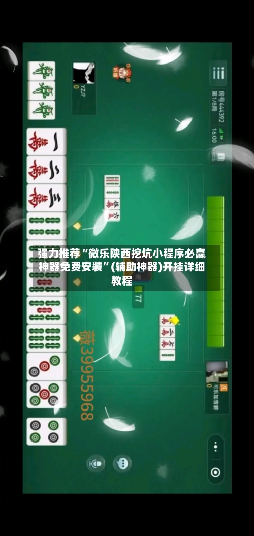 强力推荐“微乐陕西挖坑小程序必赢神器免费安装	”(辅助神器)开挂详细教程-第2张图片