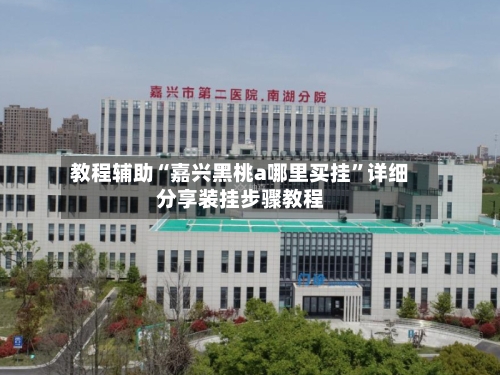 教程辅助“嘉兴黑桃a哪里买挂”详细分享装挂步骤教程-第3张图片