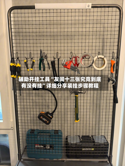 辅助开挂工具“友间十三张究竟到底有没有挂	”详细分享装挂步骤教程-第2张图片