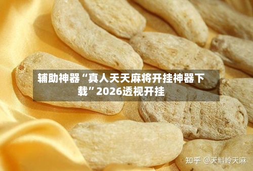 辅助神器“真人天天麻将开挂神器下载”2026透视开挂-第2张图片