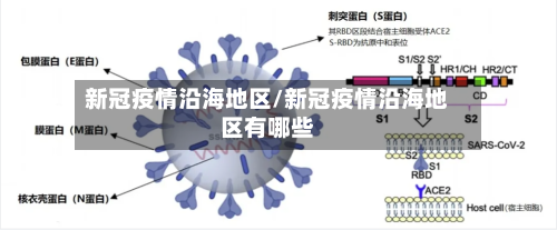 新冠疫情沿海地区/新冠疫情沿海地区有哪些