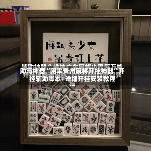 助赢神器“闲来贵州麻将开挂神器	”开挂辅助脚本+详细开挂安装教程-第2张图片