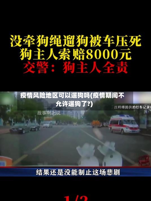 疫情风险地区可以遛狗吗(疫情期间不允许遛狗了?)-第3张图片