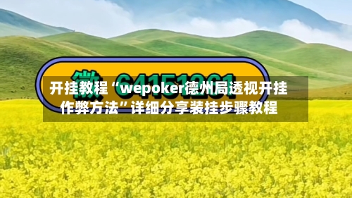 开挂教程“wepoker德州局透视开挂作弊方法	”详细分享装挂步骤教程-第2张图片