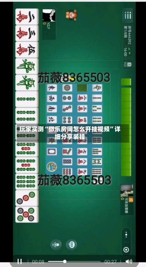 玩家实测“微乐房间怎么开挂视频”详细分享装挂-第2张图片
