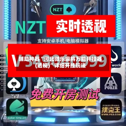 辅助神器“河北微乐麻将万能开挂器(透视)	”详细开挂玩法-第3张图片