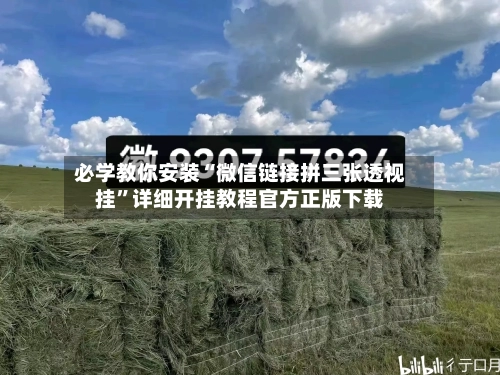必学教你安装“微信链接拼三张透视挂”详细开挂教程官方正版下载-第2张图片