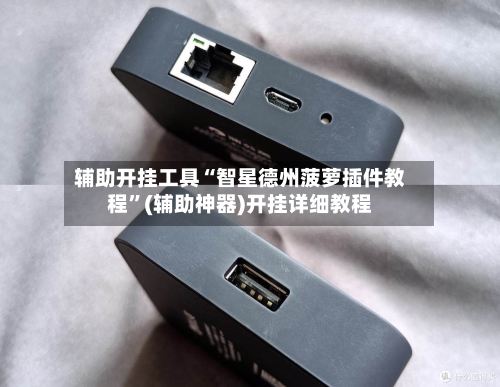 辅助开挂工具“智星德州菠萝插件教程	”(辅助神器)开挂详细教程-第3张图片
