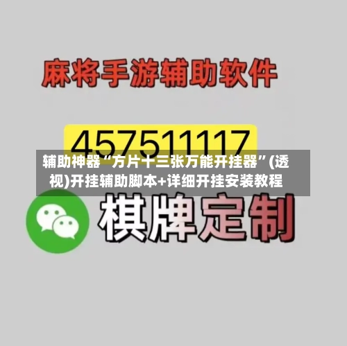 辅助神器“方片十三张万能开挂器	”(透视)开挂辅助脚本+详细开挂安装教程-第2张图片