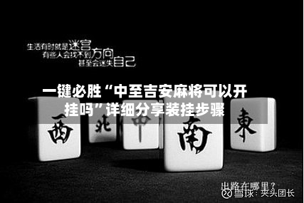 一键必胜“中至吉安麻将可以开挂吗”详细分享装挂步骤-第3张图片