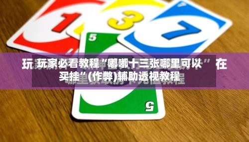 玩家必看教程“嘟嘟十三张哪里可以买挂”(作弊)辅助透视教程-第3张图片