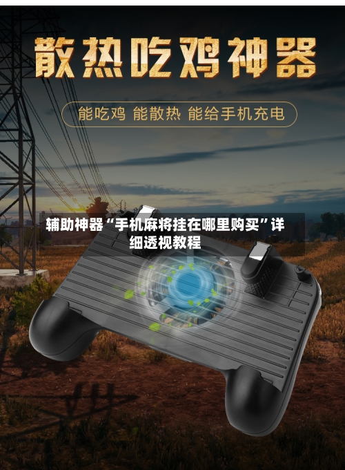 辅助神器“手机麻将挂在哪里购买	”详细透视教程-第2张图片