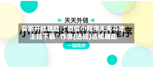 实测开挂辅助:“微信小程序天天斗地主挂下载	”作弊(透视)透视辅助-第2张图片