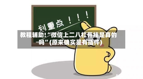 教程辅助!“微信上二八杠开挂是真的吗”(原来确实是有插件)-第3张图片