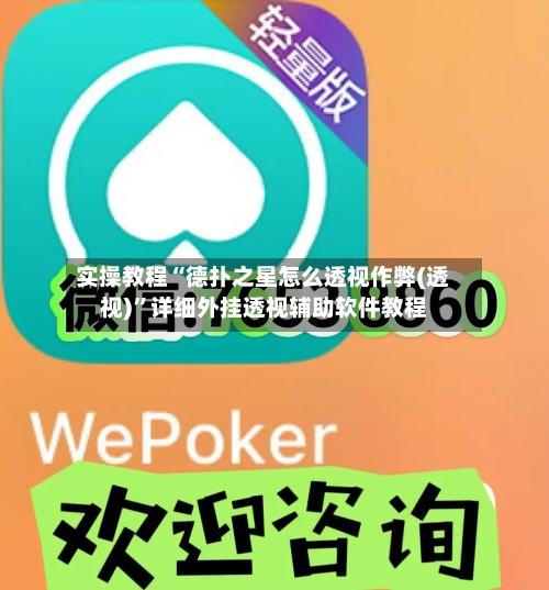 实操教程“德扑之星怎么透视作弊(透视)”详细外挂透视辅助软件教程-第3张图片