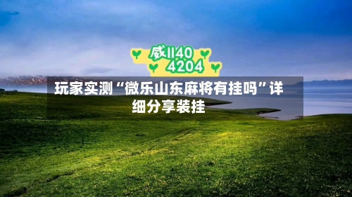 玩家实测“微乐山东麻将有挂吗”详细分享装挂-第2张图片