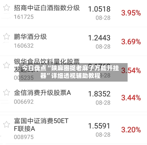 今日盘点“陕麻圈捉老麻子万能开挂器”详细透视辅助教程-第2张图片