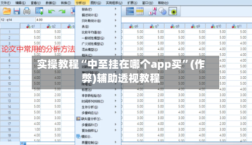 实操教程“中至挂在哪个app买”(作弊)辅助透视教程-第2张图片