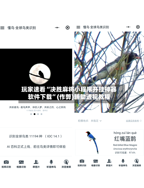 玩家速看“决胜麻将小程序开挂神器软件下载	”(作弊)辅助透视教程-第2张图片