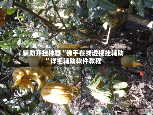 辅助开挂神器“佛手在线透视挂辅助”详细辅助软件教程