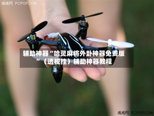 辅助神器“哈灵麻将外卦神器免费版”（透视挂）辅助神器教程-第2张图片
