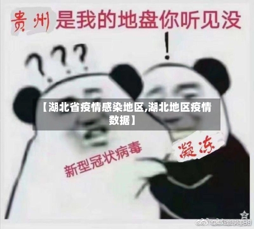 【湖北省疫情感染地区,湖北地区疫情数据】-第2张图片