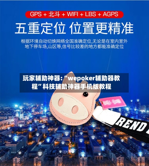 玩家辅助神器:“wepoker辅助器教程”科技辅助神器手机版教程-第3张图片