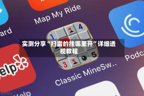 实测分享“扫雷的挂哪里开”详细透视教程-第2张图片