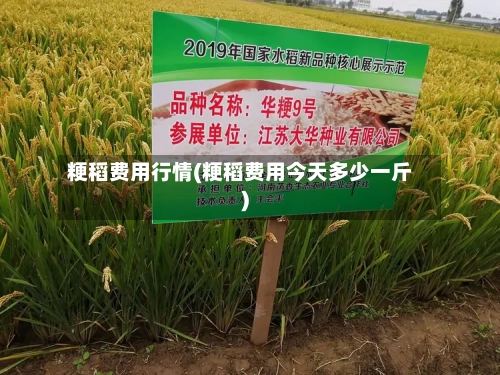 粳稻费用行情(粳稻费用今天多少一斤)-第3张图片