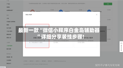 最新一款“微信小程序白金岛辅助器”详细分享装挂步骤!