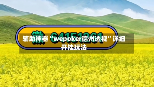 辅助神器“wepoker德州透视”详细开挂玩法-第3张图片
