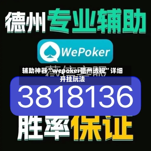 辅助神器“wepoker德州透视”详细开挂玩法-第2张图片