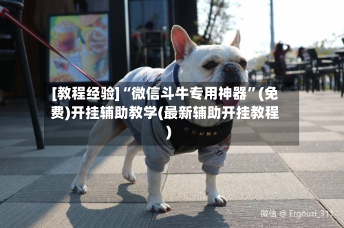 [教程经验]“微信斗牛专用神器”(免费)开挂辅助教学(最新辅助开挂教程)