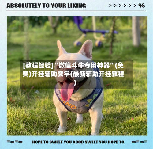 [教程经验]“微信斗牛专用神器”(免费)开挂辅助教学(最新辅助开挂教程)-第3张图片