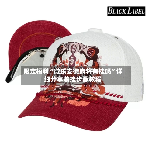 限定福利“微乐安徽麻将有挂吗”详细分享装挂步骤教程-第2张图片