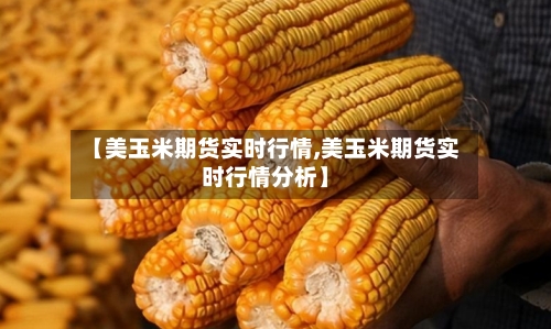 【美玉米期货实时行情,美玉米期货实时行情分析】-第2张图片