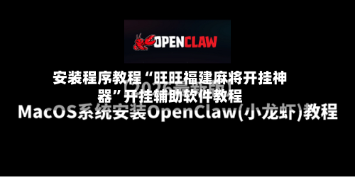安装程序教程“旺旺福建麻将开挂神器”开挂辅助软件教程-第2张图片