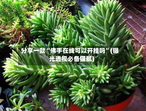 分享一款“佛手在线可以开挂吗”(曝光透视必备猫腻)-第2张图片