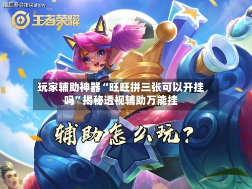 玩家辅助神器“旺旺拼三张可以开挂吗”揭秘透视辅助万能挂-第2张图片
