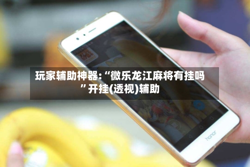 玩家辅助神器:“微乐龙江麻将有挂吗”开挂(透视)辅助