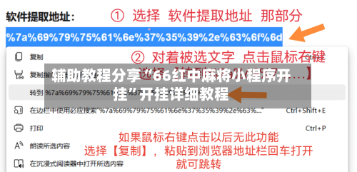 辅助教程分享“66红中麻将小程序开挂”开挂详细教程-第3张图片