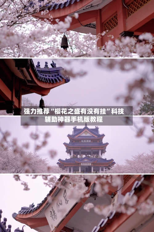 强力推荐“樱花之盛有没有挂”科技辅助神器手机版教程