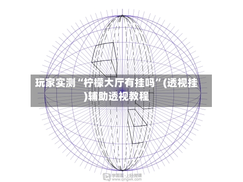 玩家实测“柠檬大厅有挂吗”(透视挂)辅助透视教程-第3张图片